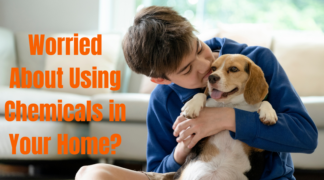 A little boy and a puppy cuddling. The text Worried About Using Chemicals in your home?