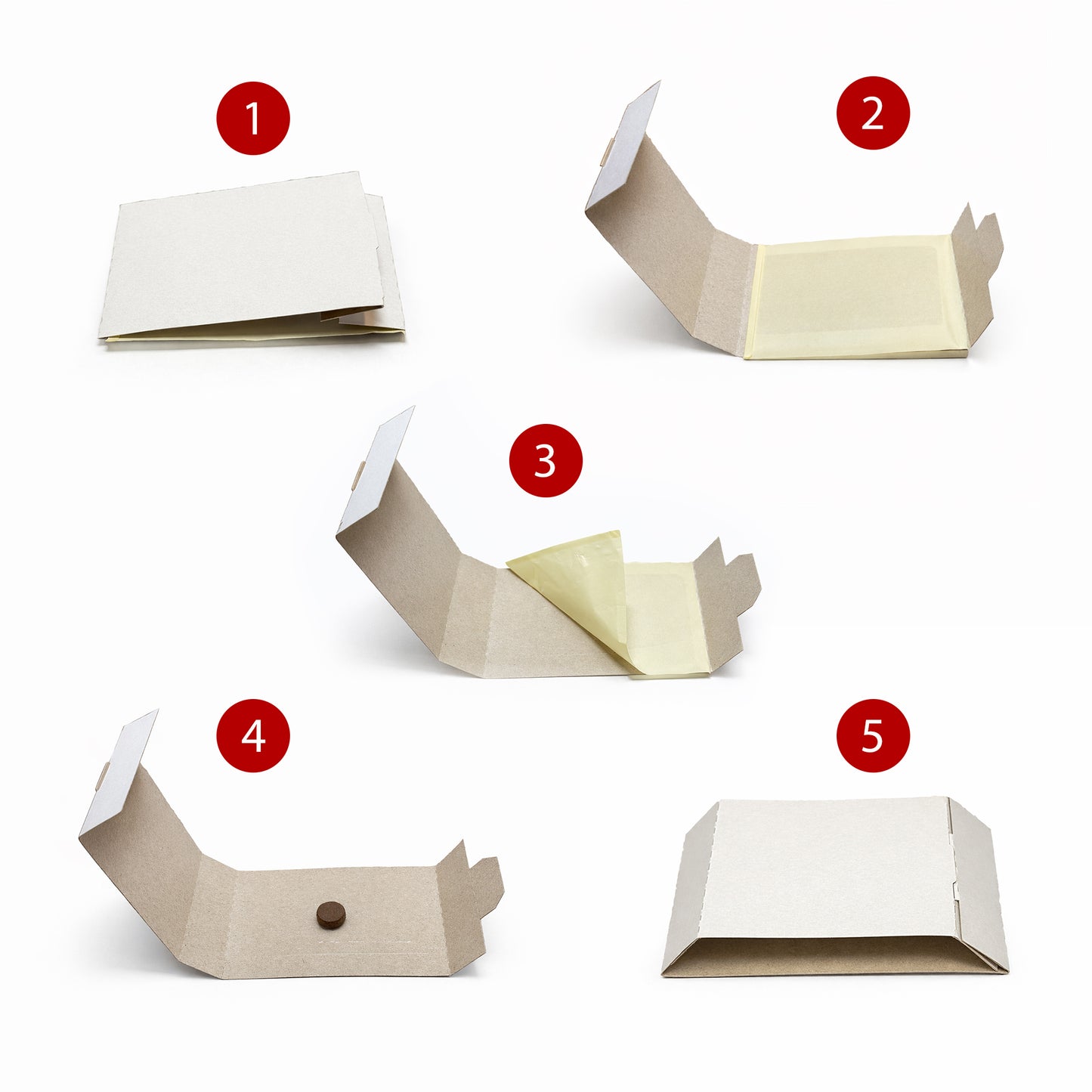 How to fold a cardboard cockroach trap step by step