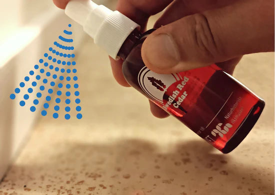 Someone spraying red cedar oil on the floor.