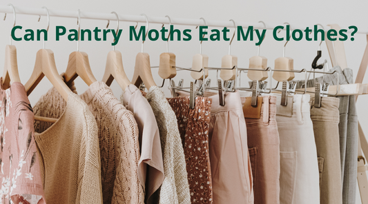 Clothes on hangers in light colors. The text Can Pantry Moths Eat My Clothes above.