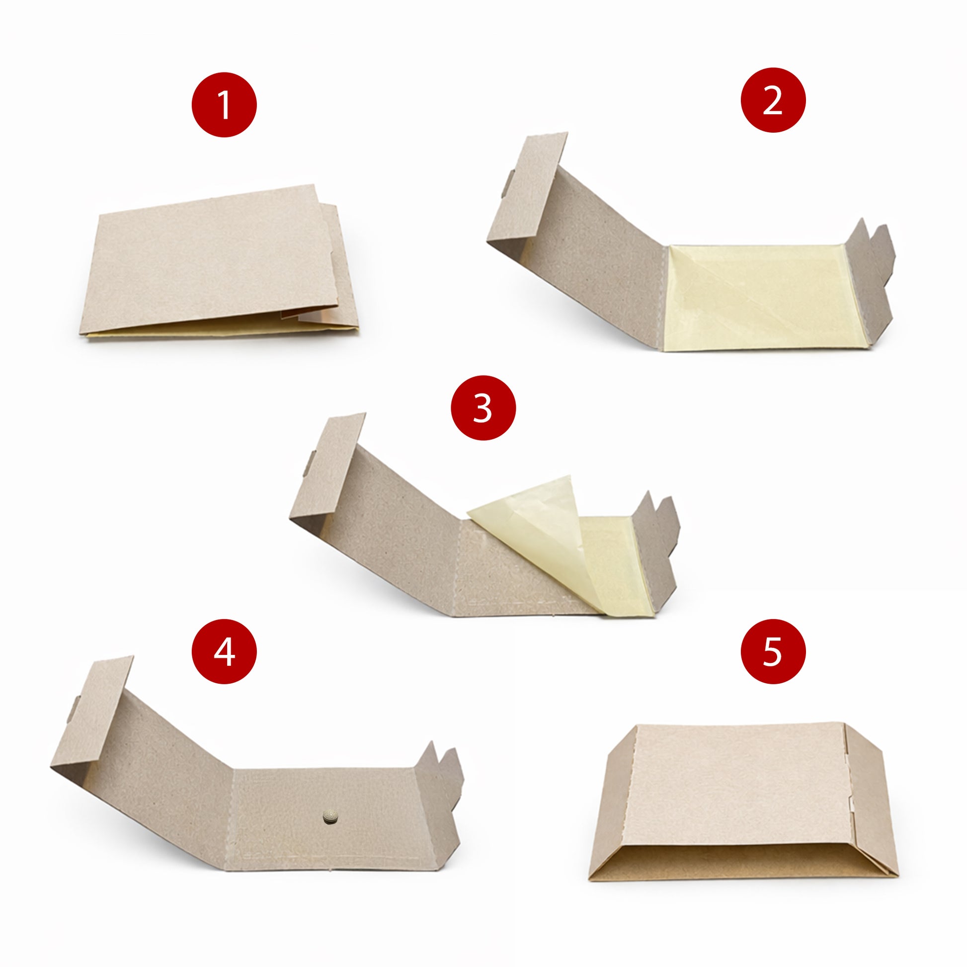 How to fold a cardboard cockroach trap step by step
