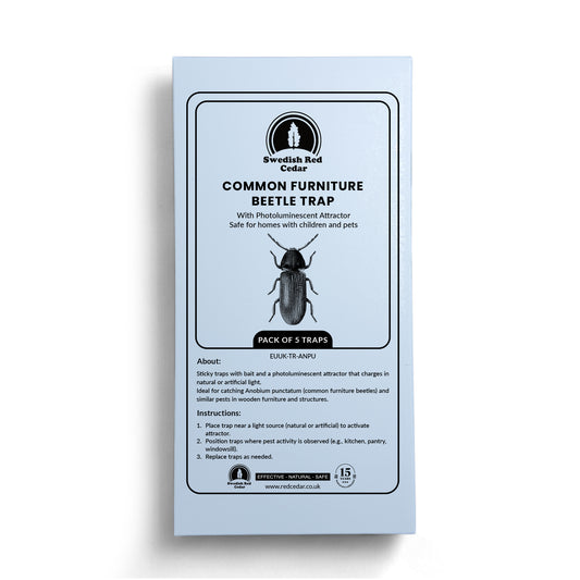 Common Furniture Beetle Trap - 5 Traps
