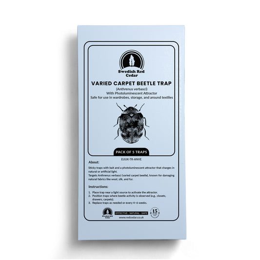 Varied Carpet Beetle Trap - 5 Traps (Premium)